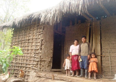 Familias Tolupanes viven en condiciones precarias con viviendas que necesitan mejoramientos y/o reparaciones